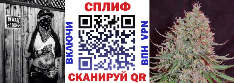 Конопля план  блэк спрут ссылка  Дорогобуж 